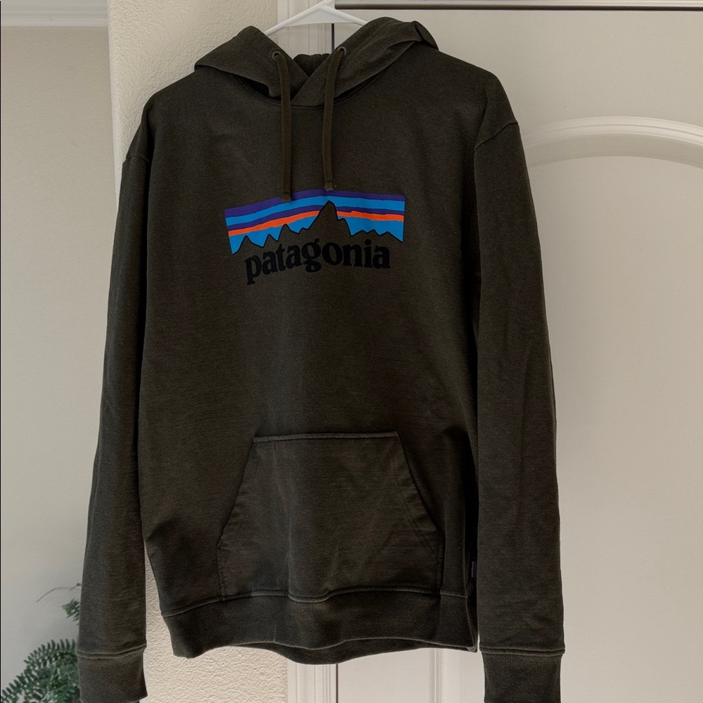 Patagonia Olive Green Hoodie with Multicolor Mountain Logo